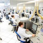 Katayama Alimentos cresce 40% no quesito faturamento em 2020