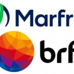 No Moo e a receita de sucesso por trás  dos queijos veganos: O segredo das startups de sucesso no food