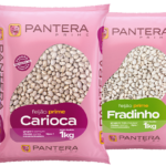 Sorvetes Rochinha lança sabores veganos