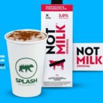 Pinati – A evolução do SNACK