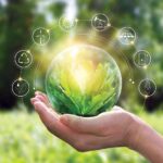 Camil anuncia compra da Mabel e entrada na categoria biscoitos