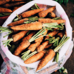 Consumo de “microgreens” cresce e estimula produção em áreas urbanas