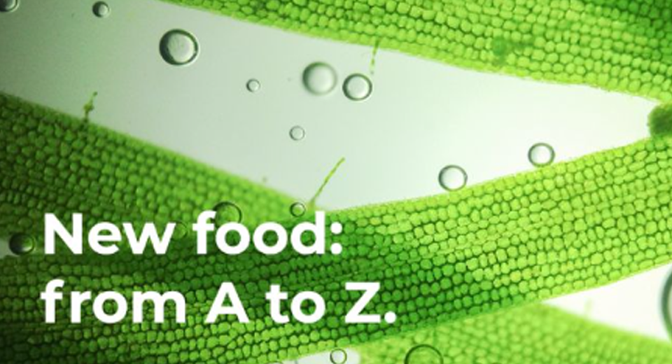 Tetra Pak lança novo glossário alimentar