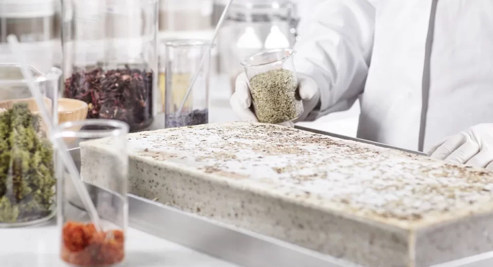 Empresas europeias do setor de alimentos e bebidas estão recorrendo à tecnologia para melhorar a eficiência energética