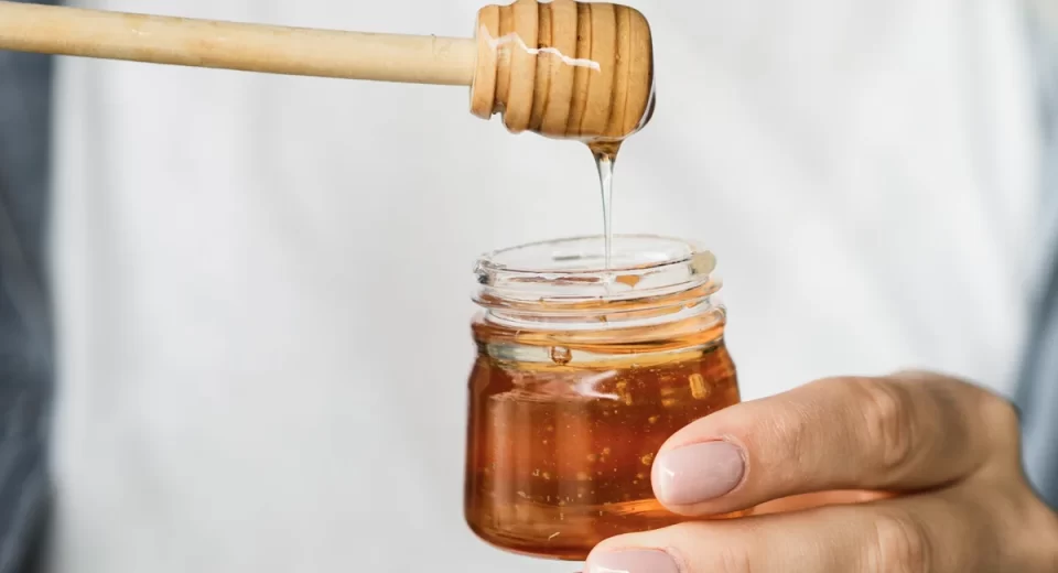 Mel sustentável promete benefícios para saúde e preservação ambiental