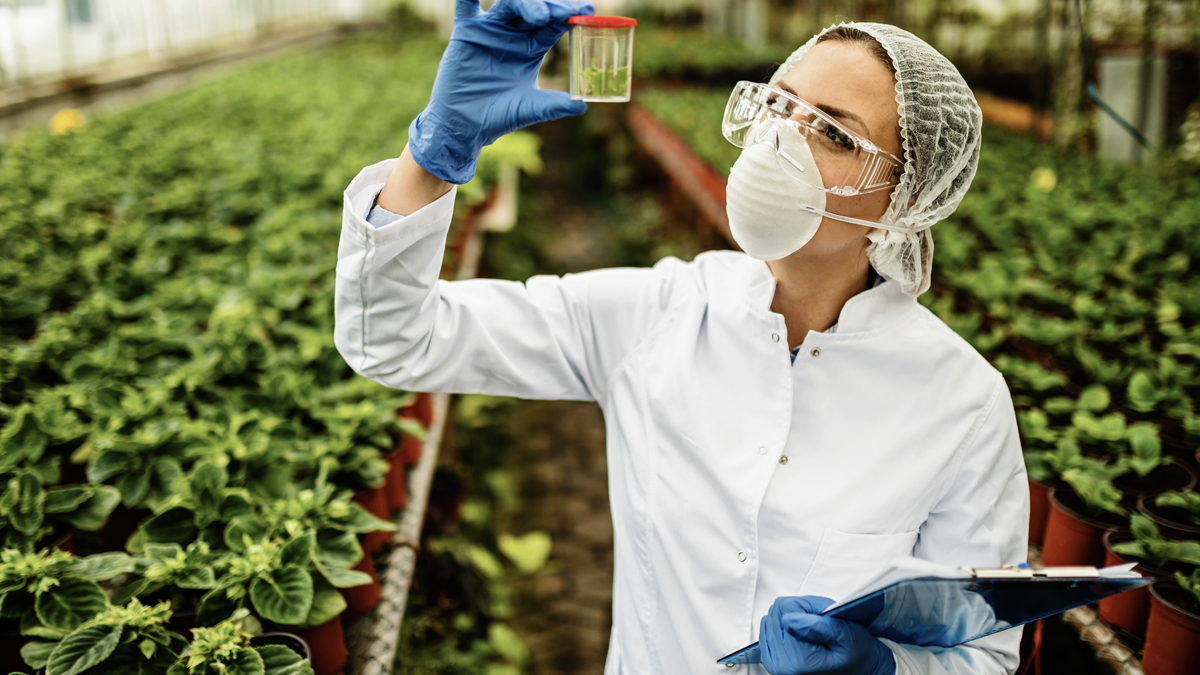 Portfólio da Novonesis abrange ingredientes funcionais para alimentos baseados em plantas