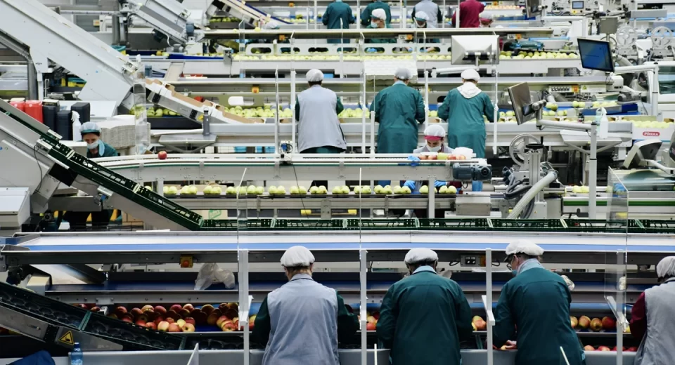 Tecnologia impulsiona sustentabilidade na indústria de alimentos