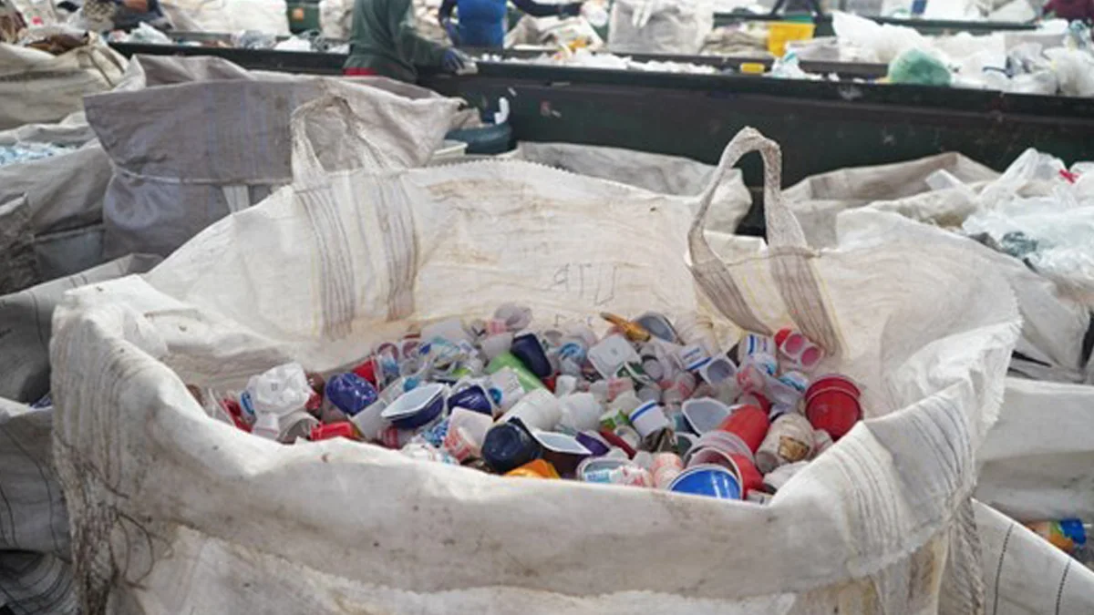 Danone e Yattó reciclam mais de 13 milhões de embalagens de iogurte