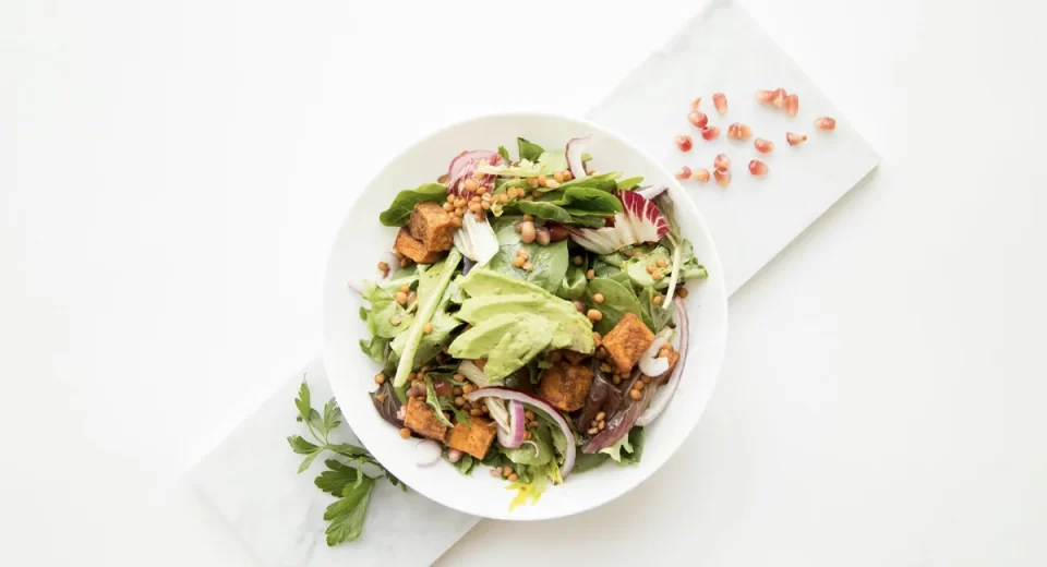 Faturamento da indústria plant-based supera R$ 1 bilhão no Brasil