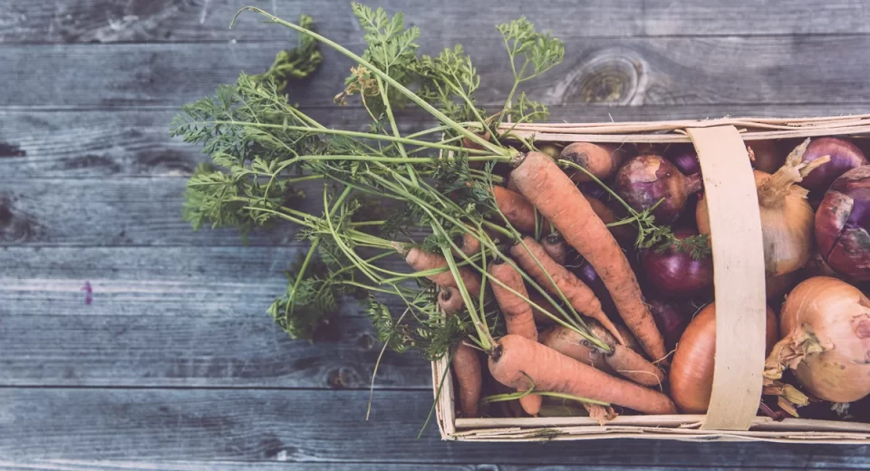 Aumenta demanda por alimentos orgânicos no Brasil