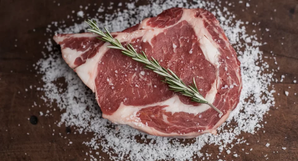 Flórida é o 1º estado nos EUA a proibir carne cultivada