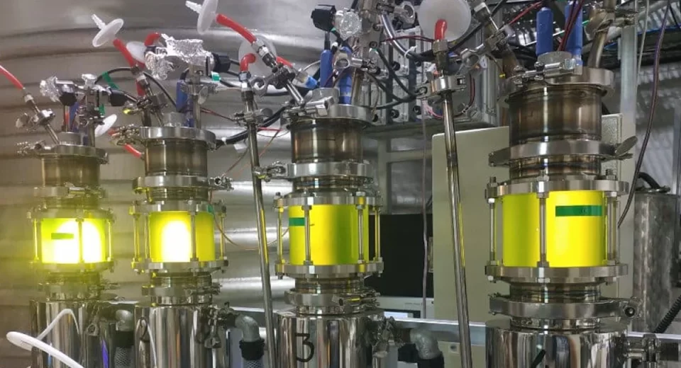 Brevel inaugura planta para produção de proteína de microalga