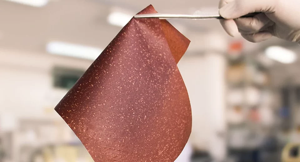 Cientistas transformam casca de banana em bioplástico para embalar alimentos