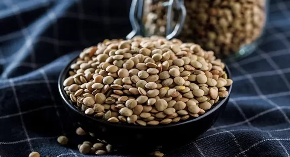 Embrapa lança novos concentrados proteicos de lentilha e grão-de-bico