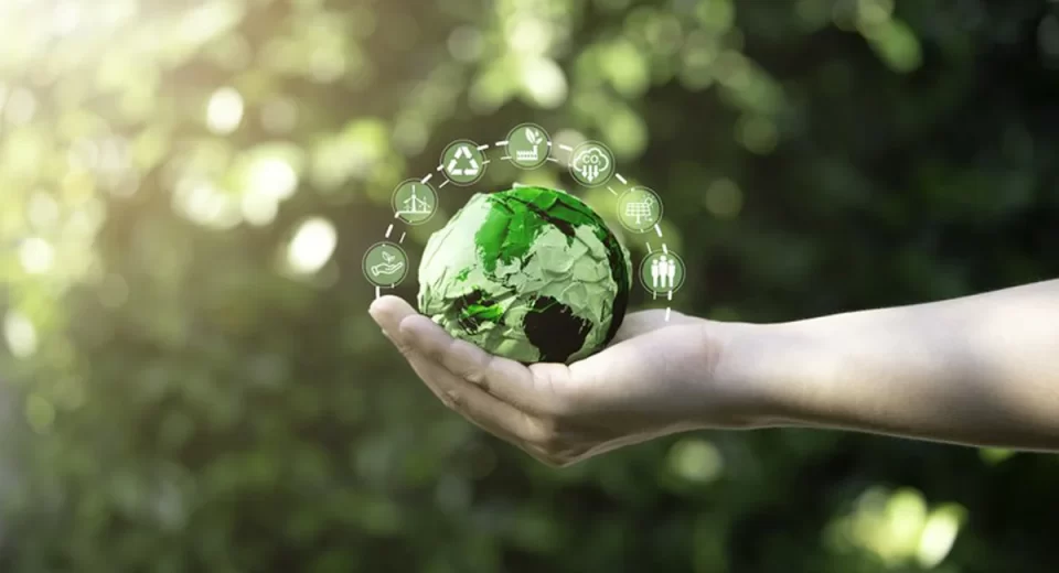 Governo lança Selo Verde para certificação sustentável