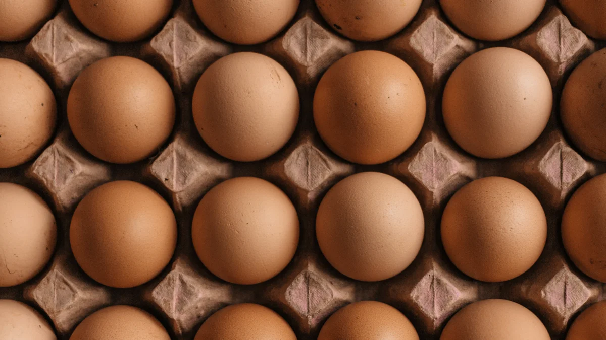 Happy Eggs investe R$ 30 milhões em campanha de ovos