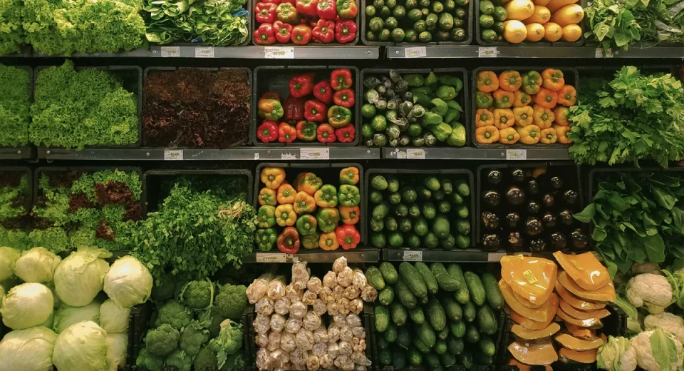 Práticas sustentáveis transformam o setor de alimentação