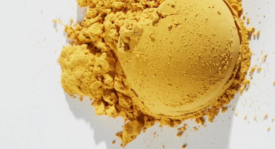 Solar Foods cria proteína sustentável usando ar e energia