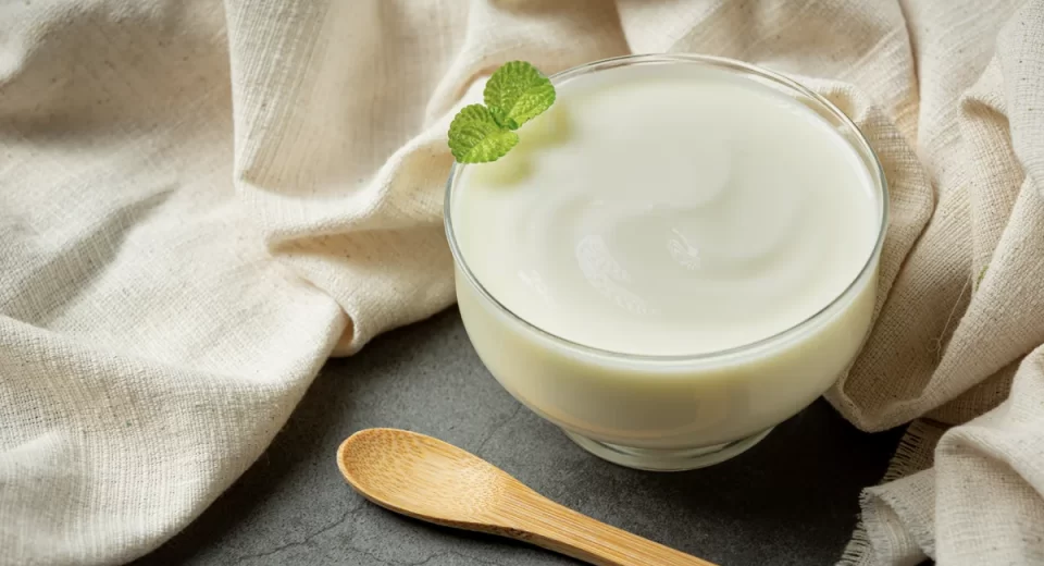 A Danone Brasil apresenta resultados significativos em seu Relatório de Sustentabilidade 2023