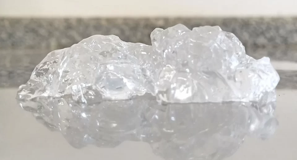 Embrapa desenvolve gelatina a partir da pele do tambaqui