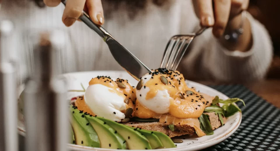 FiSA 2024 promove debate sobre proteínas alternativas