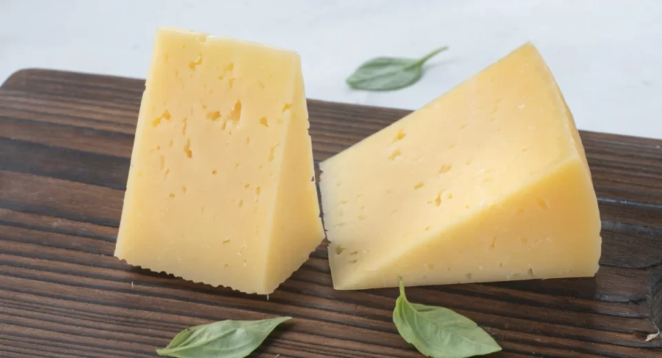 Novos probióticos são encontrados em queijos brasileiros