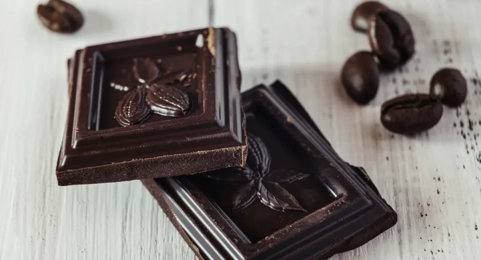 Fralía Cacau Brasil expande produção de derivados do cacau em Minas Gerais