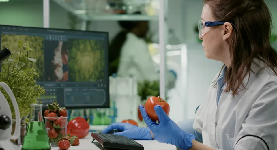 Assunto será debatido na Fi South America, principal evento do setor de ingredientes para alimentos e bebidas da América do Sul