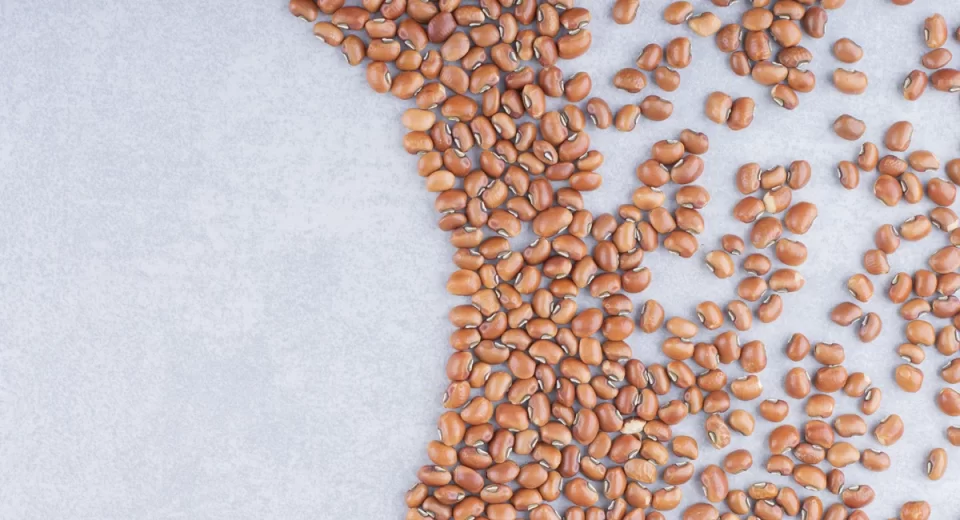 Cientistas apostam no feijão como alimento do futuro