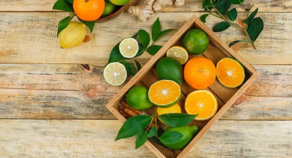 Ingredion lança fibras cítricas para otimizar textura alimentar