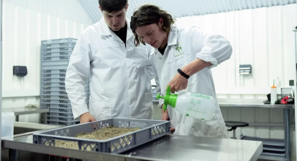 Leveduras brasileiras são alternativa promissora para a nutrição humana