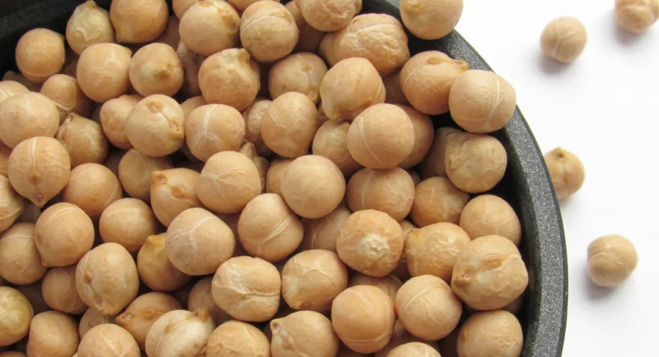 Mercado de alternativas proteicas deve atingir US$ 25,2 bilhões até 2029