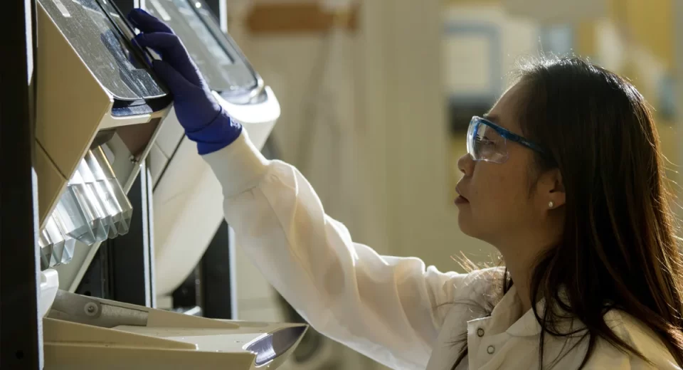 Zydus e Perfect Day unem forças para transformar a Índia em polo de proteína sem origem animal