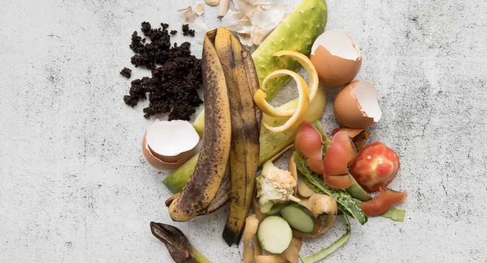 Danone e Gooxxy usam IA para redução de desperdício de alimentos