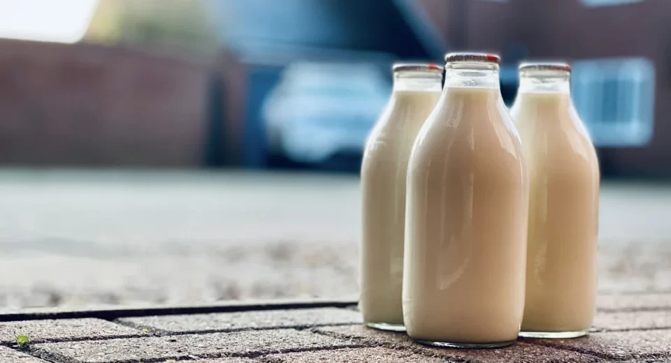 Leite vegetal e fermentado deve dominar a Europa até 2040