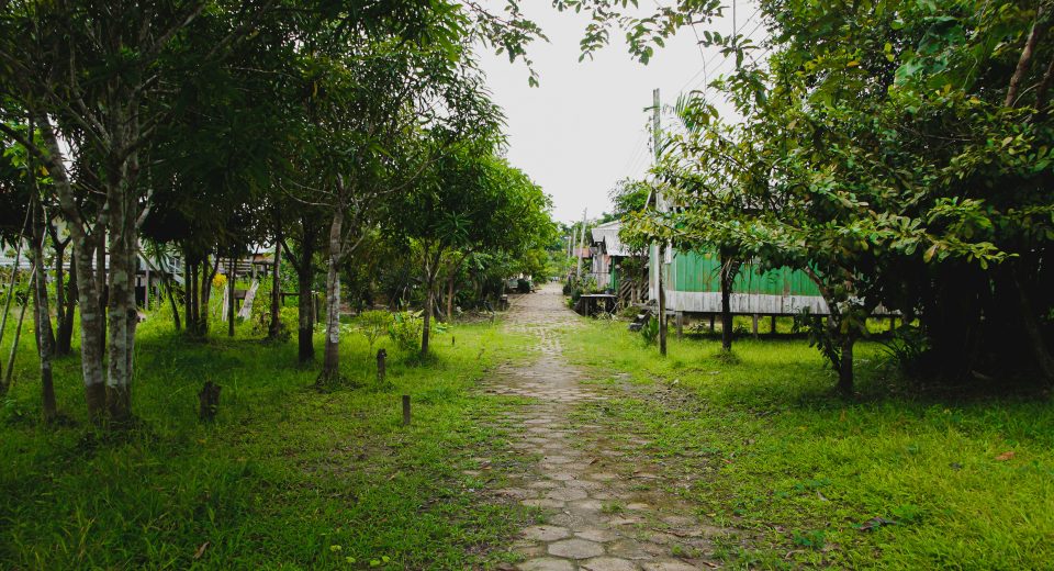 Edital do Inpa impulsiona inovação na indústria alimentícia