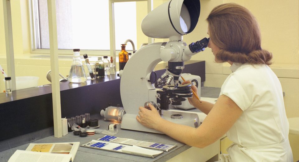 Micróbios: nova fronteira da produção de alimentos sustentáveis