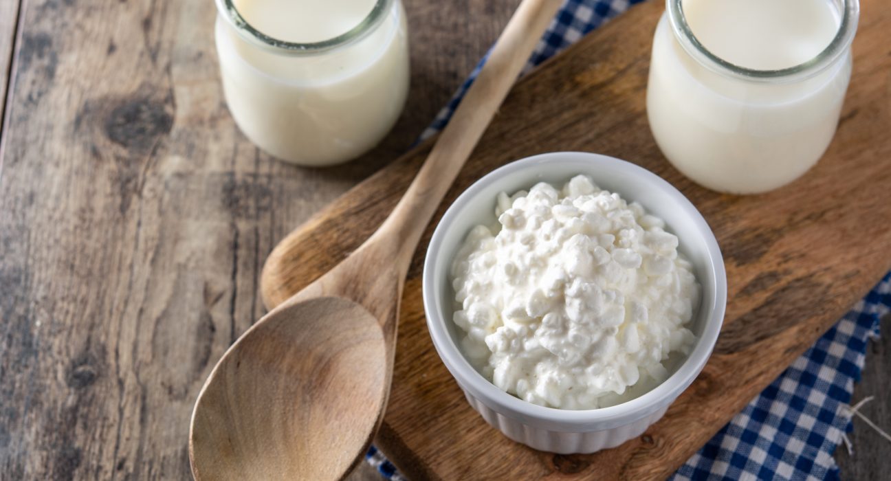 Um queijo cremoso feito com kefir, desenvolvido por pesquisadora, apresentou benefícios à saúde intestinal e menor teor de lactose