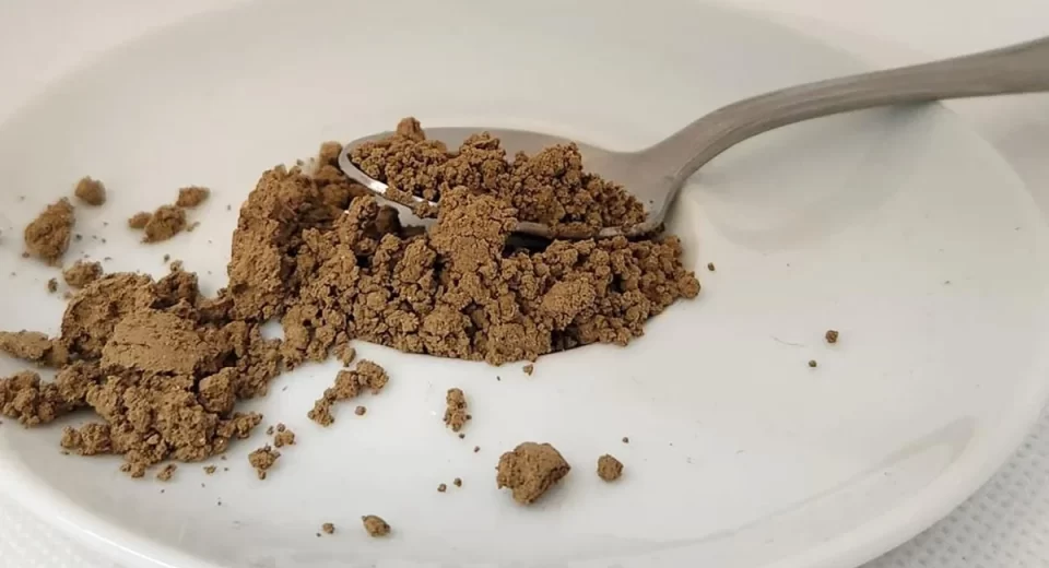 Casca do café pode substituir cacau e reduzir custos