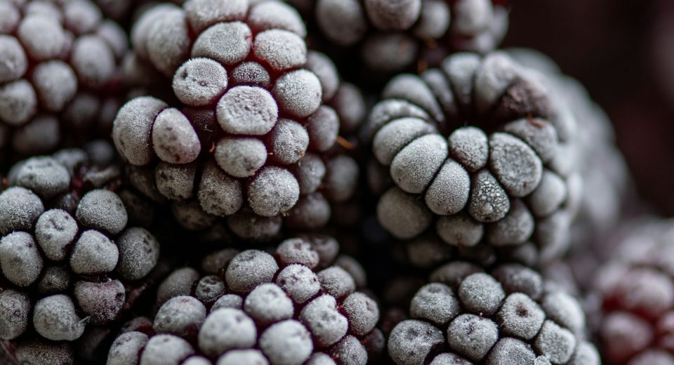 Chef’s Factory inova no mercado de alimentos congelados