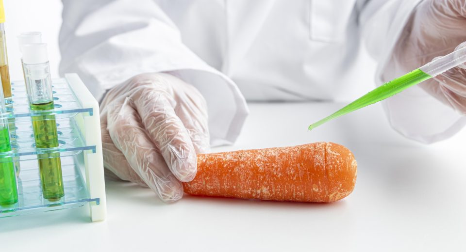 Rotulagem de transgênicos pode mudar e limitar transparência