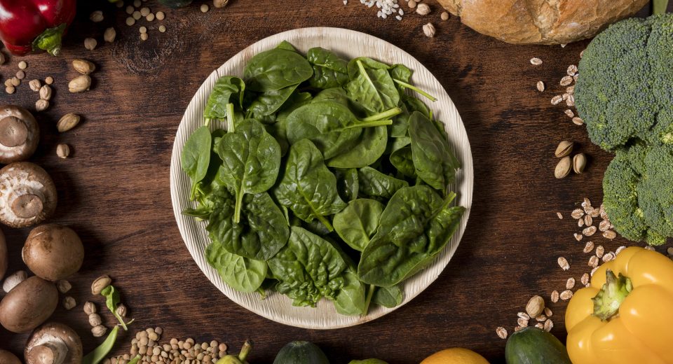 CV Sciences lança linha vegana Lunar Fox nos EUA