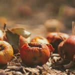 Collabs entre marcas e alimentos impulsionam inovação