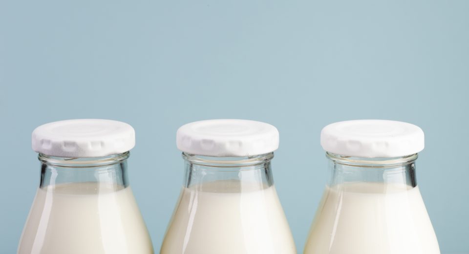 Cientistas criam proteína microbiana a partir do soro de leite