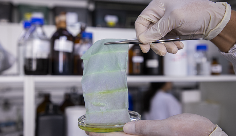 Embalagem inteligente identifica alimento estragado por cor