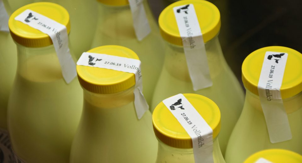 Rotulagem de bebidas lácteas muda a partir de agosto