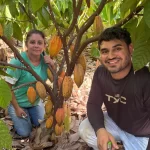 Estudo aponta impactos das proteínas cultivadas na pecuária