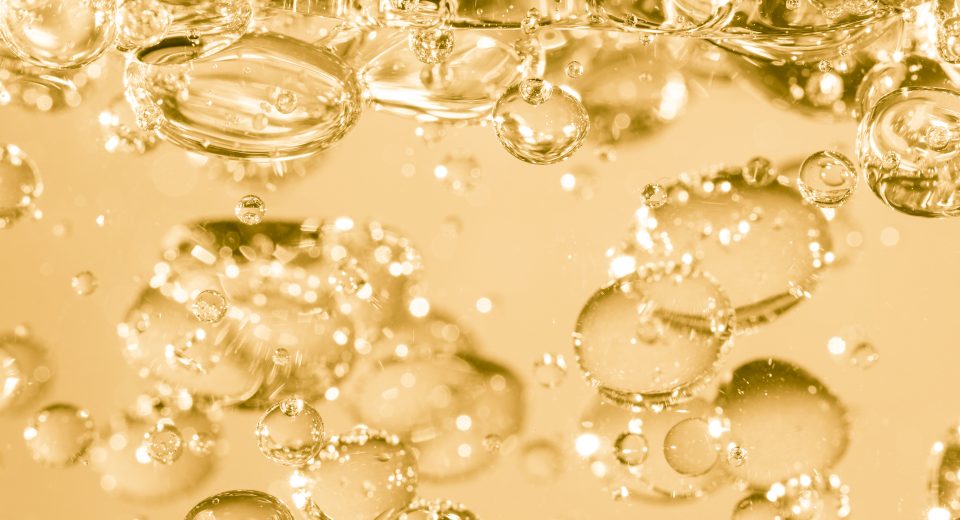 MasterSense traz colágeno Genu-in para o Brasil