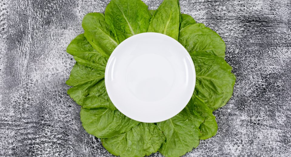 Pratos com folhas oferecem alternativa ao plástico