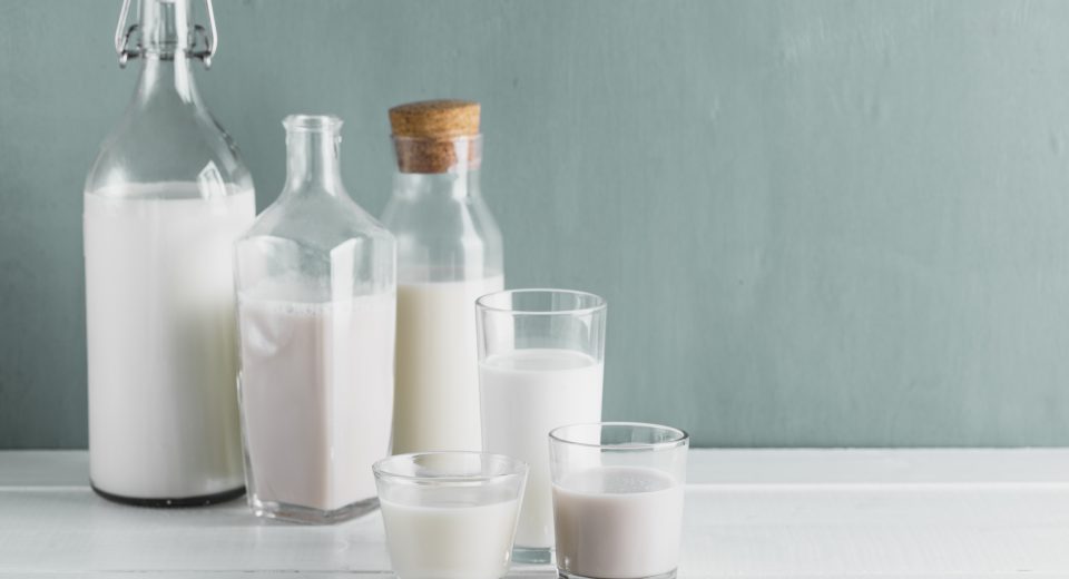 Future Cow, startup brasileira, cria proteína do leite sem uso de vacas